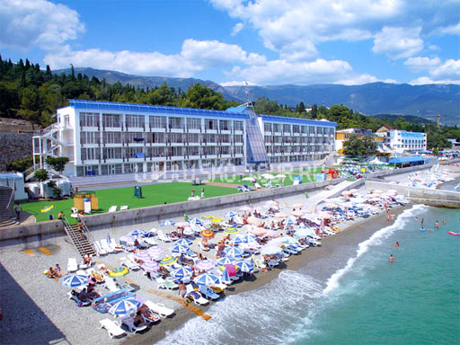 Внешний вид