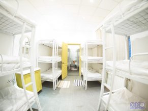 Мясо Хостел