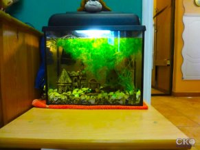 Хостел Меридиан