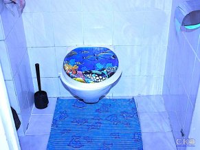 Хостел Малибу - Оазис