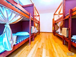 Хостел Golden Shark