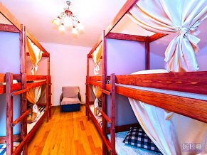 Хостел Golden Shark