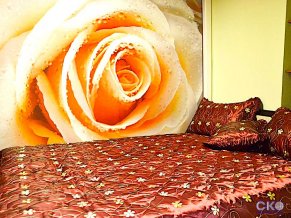 Хостел Прайм