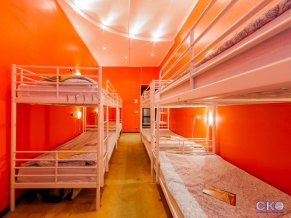 Bear Hostels на Маяковской