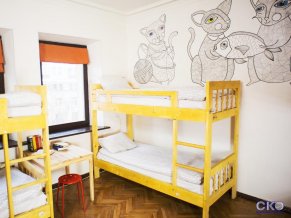 Хостел Котики