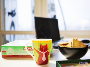 Хостел Котики