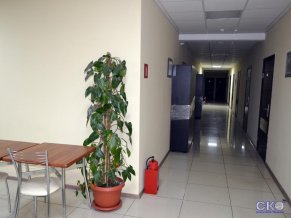 Хостел Зонт и Шляпа