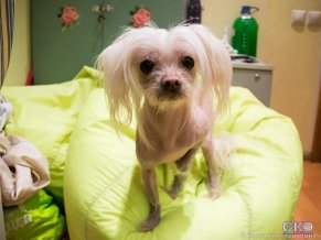 Хостел Лана