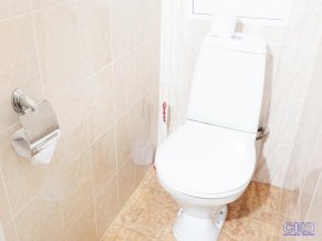 Гостиница Валс 2*