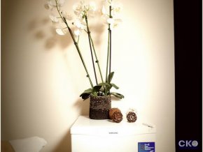 Китай-город Отель 2*