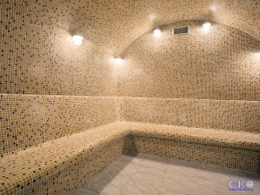 Гостиница Шератон Москва Шереметьево Аэропорт