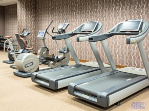 Гостиница Шератон Москва Шереметьево Аэропорт