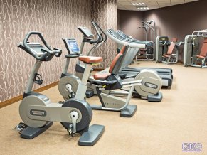 Гостиница Шератон Москва Шереметьево Аэропорт