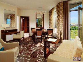 Гостиница Шератон Москва Шереметьево Аэропорт