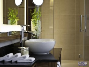 Отель Ренессанс Москва Монарх Центр