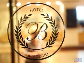 Отель Бородино