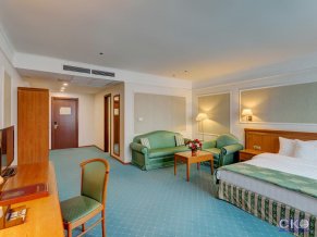 Отель Бородино