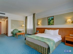 Отель Бородино