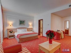 Отель Бородино