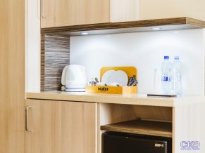 Гостиница Холидей Инн Москва Виноградово