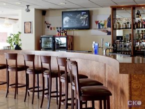 Гостиница Парк Инн от Рэдиссон Аэропорт Шереметьево