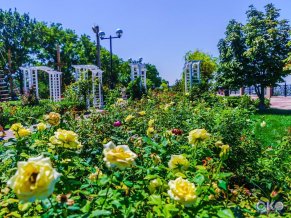 Каменка гостиница