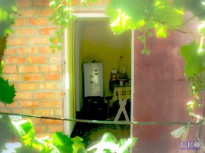 Country house on Chapaeva Загородный дом