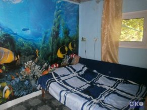 Country house on Chapaeva Загородный дом