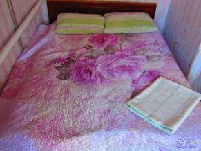 Country house on Chapaeva Загородный дом