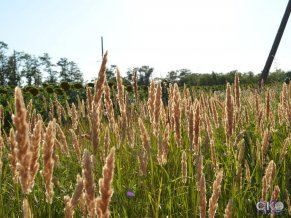 Country house on Chapaeva Загородный дом