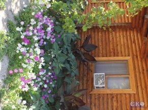 «У Лукоморья» Мини-гостиница