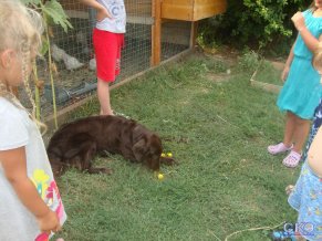 Уютный дворик Мини-отель