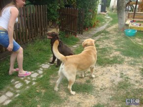 Уютный дворик Мини-отель