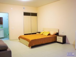 Диона Апартаменты