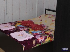 Лео Мини-гостиница