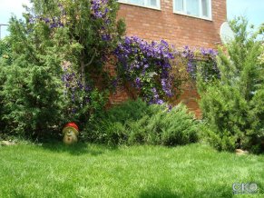 На Кропоткина Гостевой дом