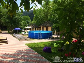 Сосновый Бор база отдыха