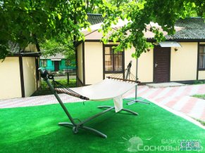 Сосновый Бор база отдыха