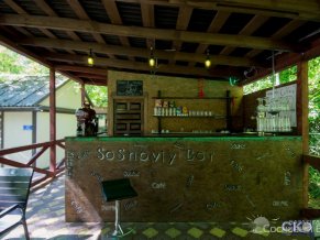 Сосновый Бор база отдыха