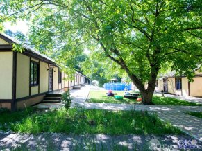 Сосновый Бор база отдыха