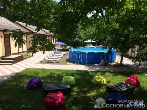 Сосновый Бор база отдыха