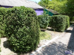 Санрайз база отдыха