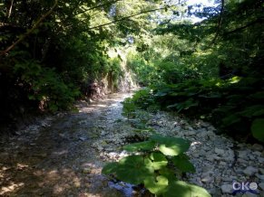 Санрайз база отдыха