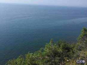 Парк Инал база отдыха