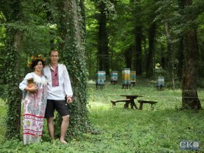 Лесной оазис гостевой дом
