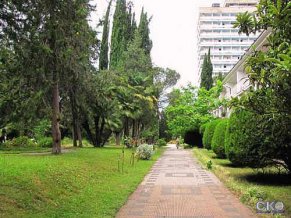 Страна Души пансионат