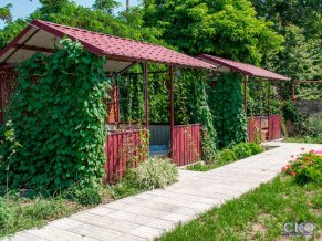 Песчаное летом мини-гостиница