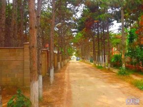 Магнолия на Набережной мини гостиница