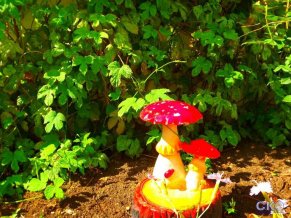 Магнолия на Набережной мини гостиница