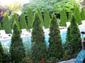 Апельсин отель